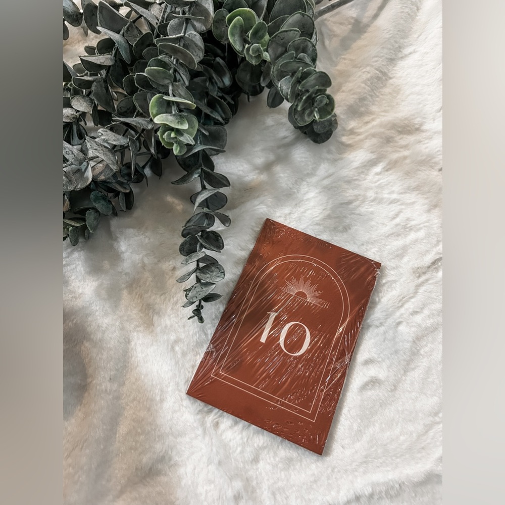 ✨HP x 2✨ NWT • Boho Wedding Table Numbers